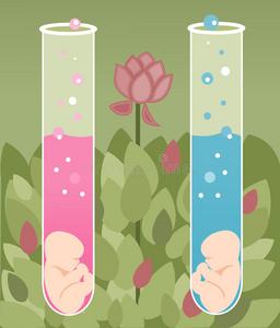 第三方试管代怀(第三方试管代怀：新生命的奇迹)