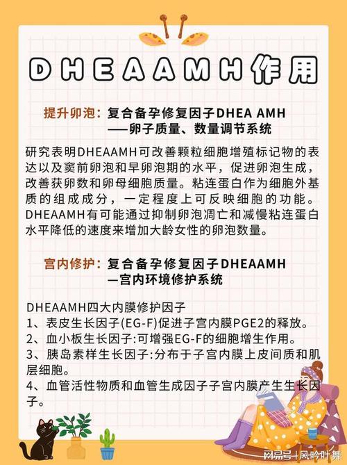不能受孕可以试管代怀吗-试管代怀孕：不能受孕的救赎之路