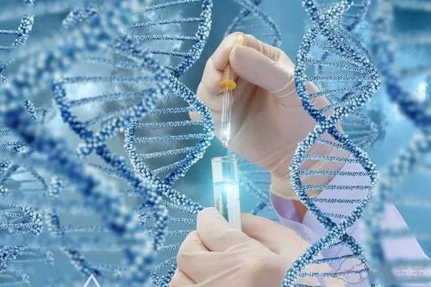 北京三代供卵试管医院-北京三代供卵试管医院：助您圆梦生育