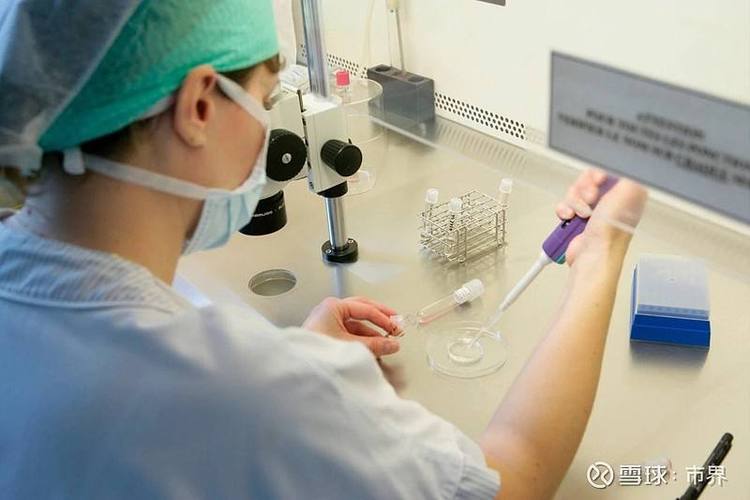 北京供卵试管孩子医院_北京供卵试管孩子医院:专业辅助生殖服务