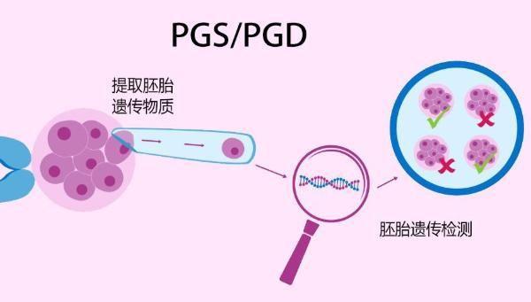 第三方借卵试管代怀【第三方借卵试管代怀:新生命的希望】