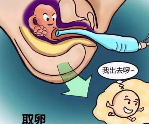 北京供卵试管宝宝_北京供卵试管宝宝:新生命的奇迹