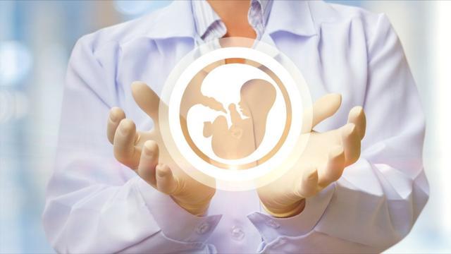 成功试管代怀方案_成功试管代怀方案:帮助您实现梦想