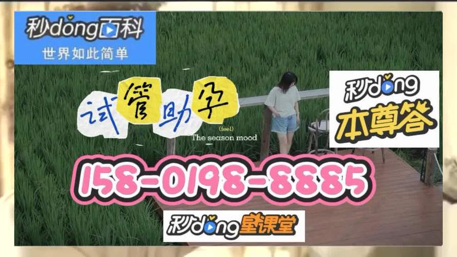 包生男孩的试管代怀公司-试管代怀公司:包生男孩的最佳选择