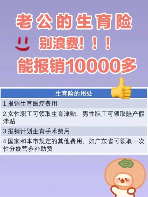 包生儿子多少费用【包生儿子多少费用？生育医疗费用一览】