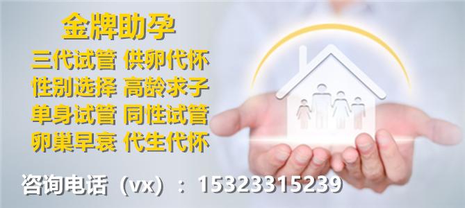 北京正规试管供卵公司(北京正规试管供卵公司:专业助您实现生育梦想)