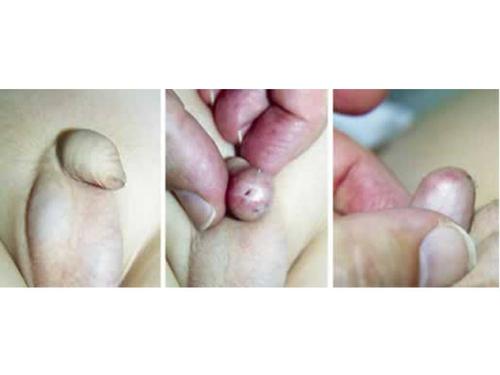 包生男孩有哪些【包生男孩有哪些特点和优势】